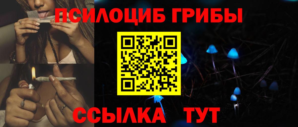 Галлюциногенные грибы Cubensis  Галлюциногенные грибы ЛСД  Вход с VPN  Майкоп 